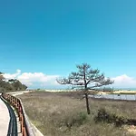 Primula-1 By Interhome Lägenhet Bibione